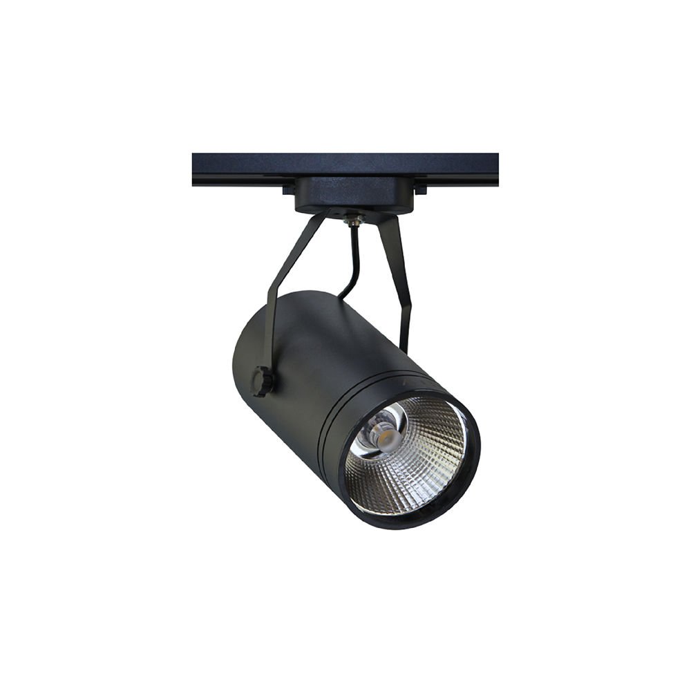 ACK 30W 4000K COB LED Ray Armatür AD30-11911