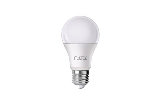 LED Ekran Teknolojisi ve Kullanım Alanları
