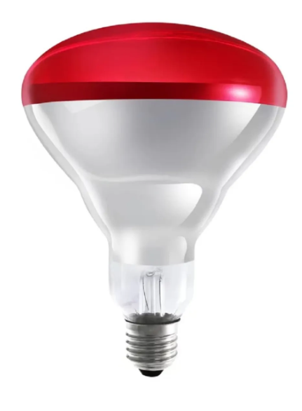 OSRAM Ledvance 250 Watt infrared Ampul Kırmızı