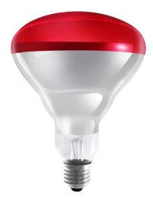 OSRAM Ledvance 250 Watt infrared Ampul Kırmızı