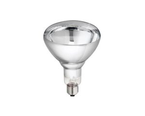 OSRAM Ledvance 250 Watt infrared Ampul Sarı Işık