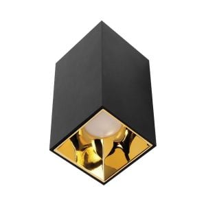 ACK Siyah Kasa - Gold Sıva Üstü Dekoratif Armatür AH12-07561