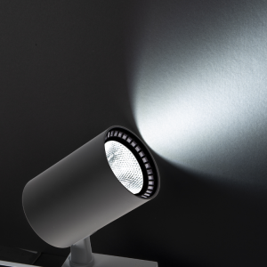 Noas 30W 3200K Gün Işığı Siyah Paris Led Ray Spot YL29 3102