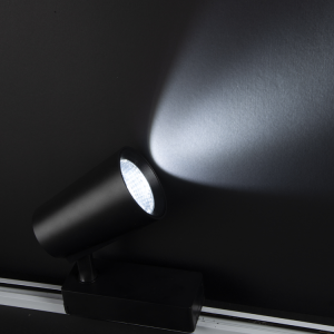 Noas 40W 6500K Beyaz Işık Siyah Lyon Led Ray Spot YL29 4001