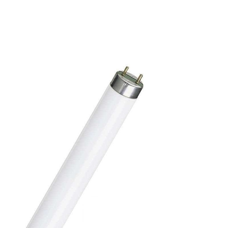36W Floresan Ampül T8 865 - 25 Adet