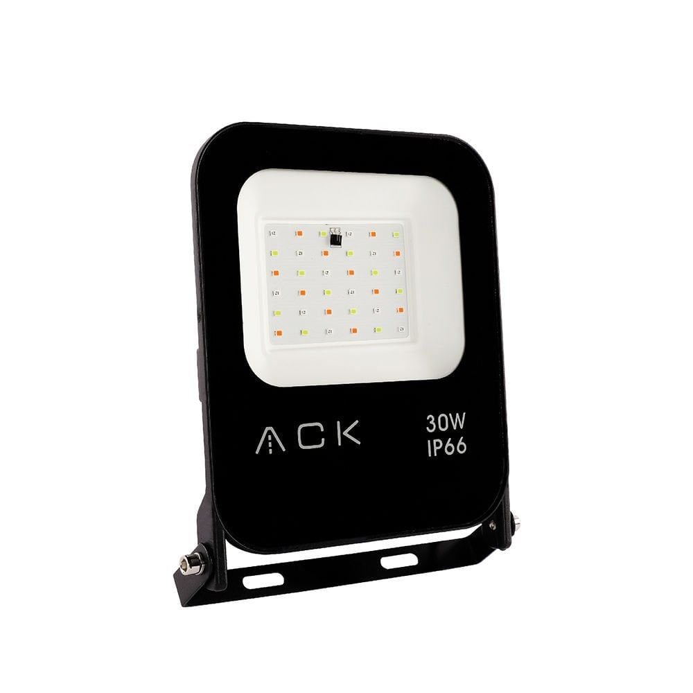 ACK 30W RGB Işık Led Projektör AT62-03092