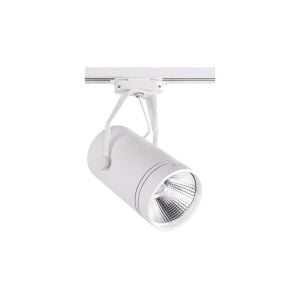 ACK 30W 4000K Naturel Beyaz COB LED Ray Armatür AD30-11910