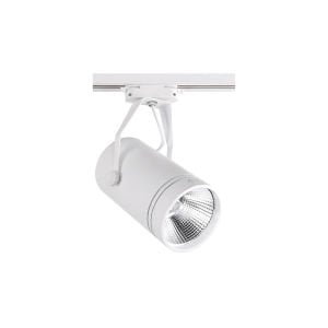 ACK 30W 6500K COB LED Ray Armatür AD30-11930