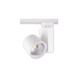 ACK 30W 3000K COB LED Ray Armatür AD30-04000