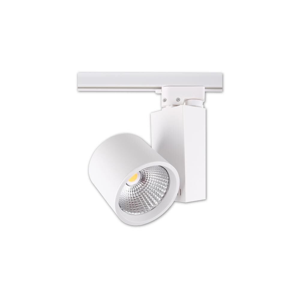 ACK 30W 4000K Naturel Beyaz COB LED Ray Armatür AD30-04010