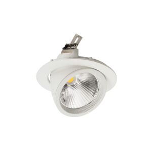 ACK 30W COB Led Salyangoz Armatür 3000K AD36-00400