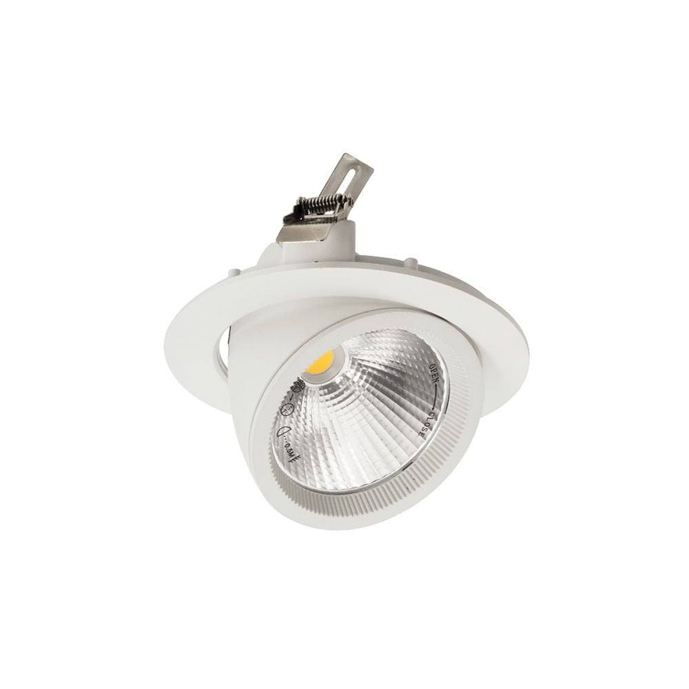 ACK 30W COB Led Salyangoz Armatür 4000K AD36-00410