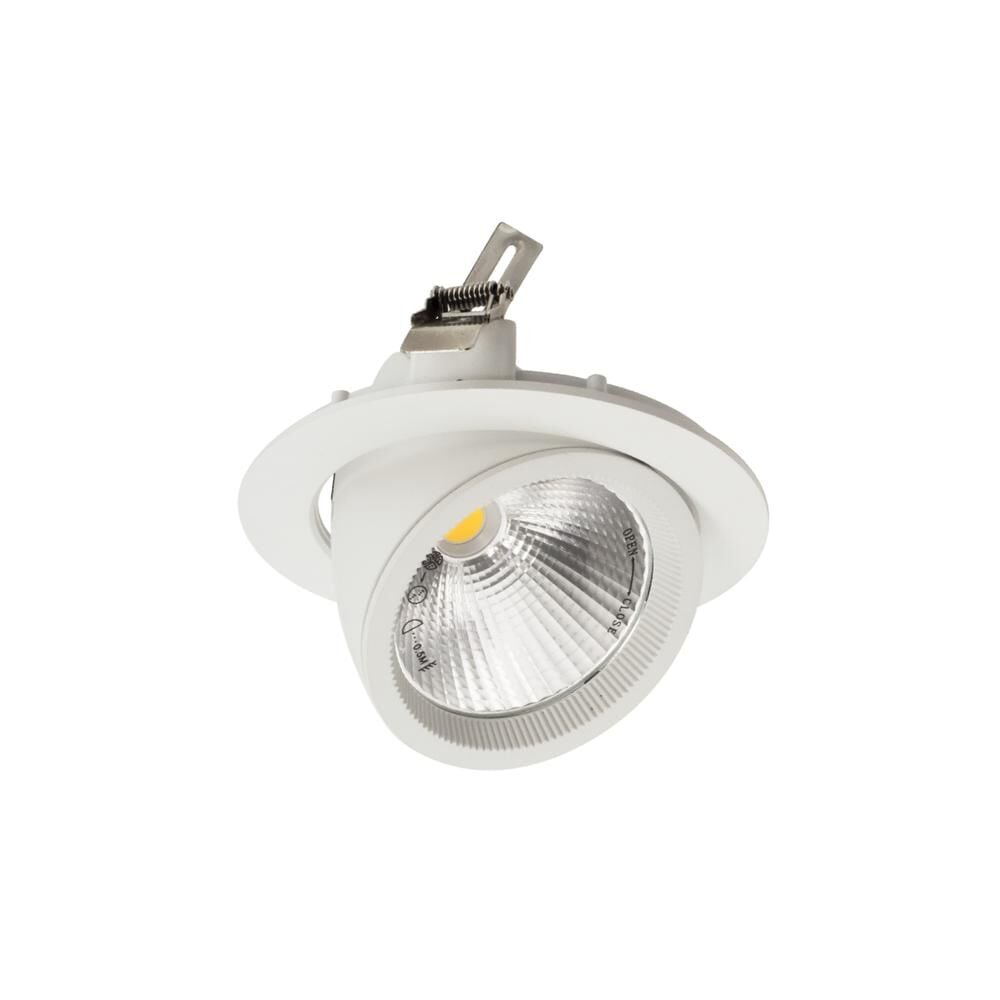 ACK 30W COB Led Salyangoz Armatür 4000K Naturel Beyaz AD36-00410