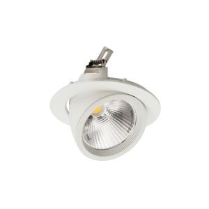 ACK 30W COB Led Salyangoz Armatür 4000K AD36-00410