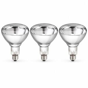 OSRAM Ledvance 250 Watt infrared Ampul Sarı Işık 3 Adet