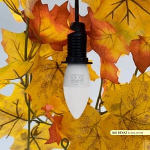 ACK 5W LED Mum Ampul 4000K AA09-00511