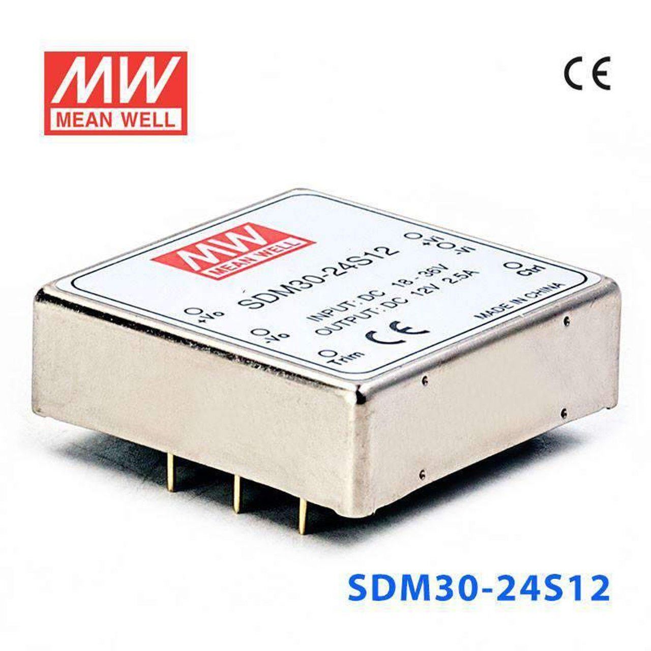 MEANWELL- SDM30-24S12 18~36Vdc>+12Vdc 2.5Amp  Dönüştürücü
