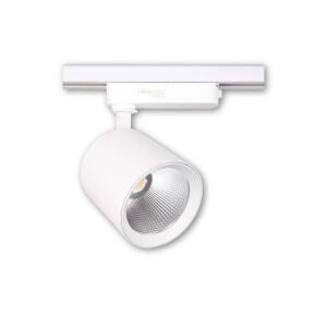 ACK Ray Spot 30W Beyaz 3000k AD30-02500