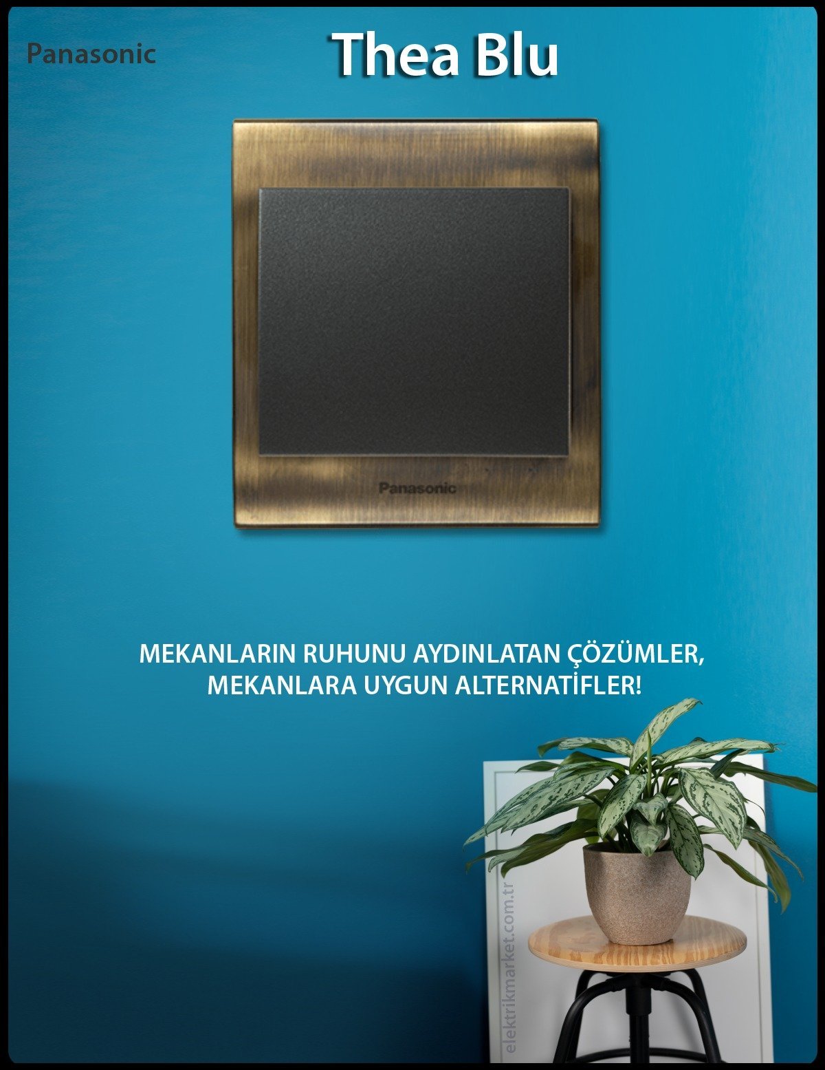 The Blu Toptan
