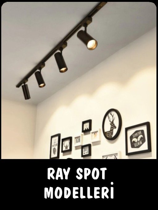 Ray Spot Modelleri